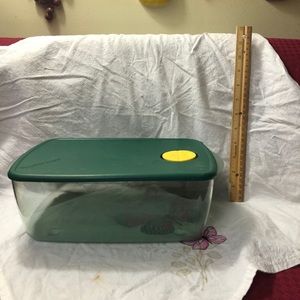 Tupperware Rock n Serve